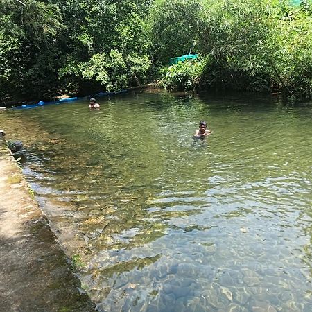 Tharayil Farm Stay Vagamon Bagian luar foto