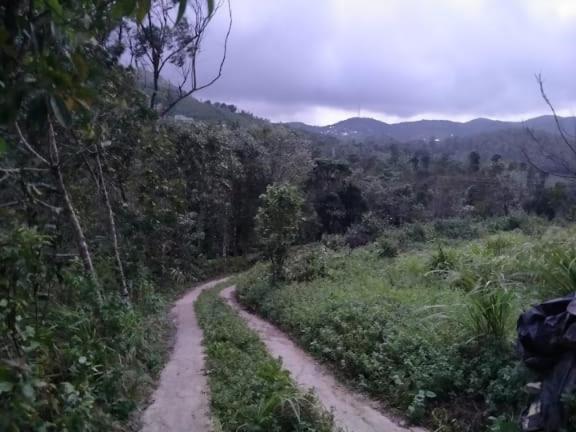 Tharayil Farm Stay Vagamon Bagian luar foto