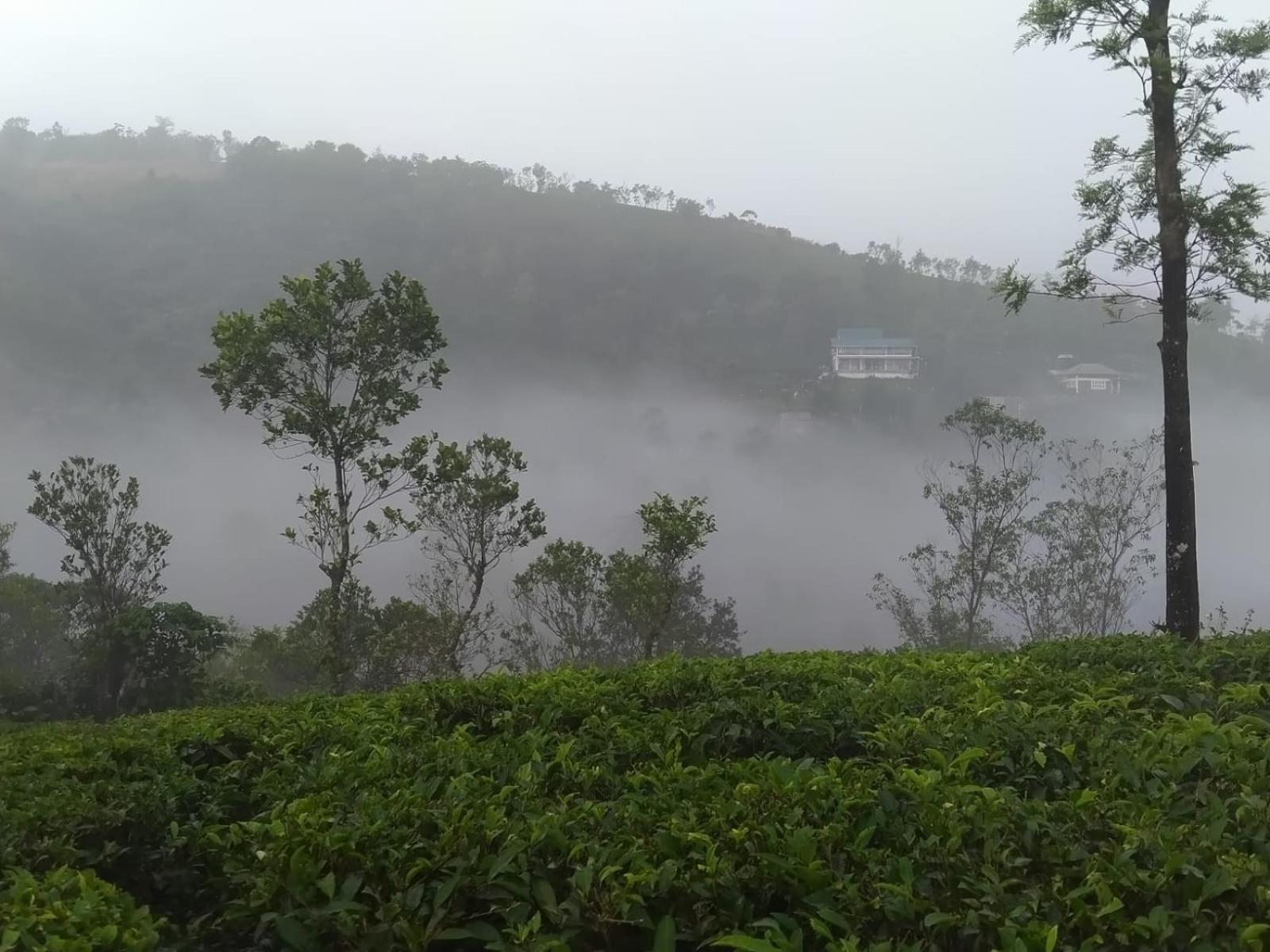 Tharayil Farm Stay Vagamon Bagian luar foto