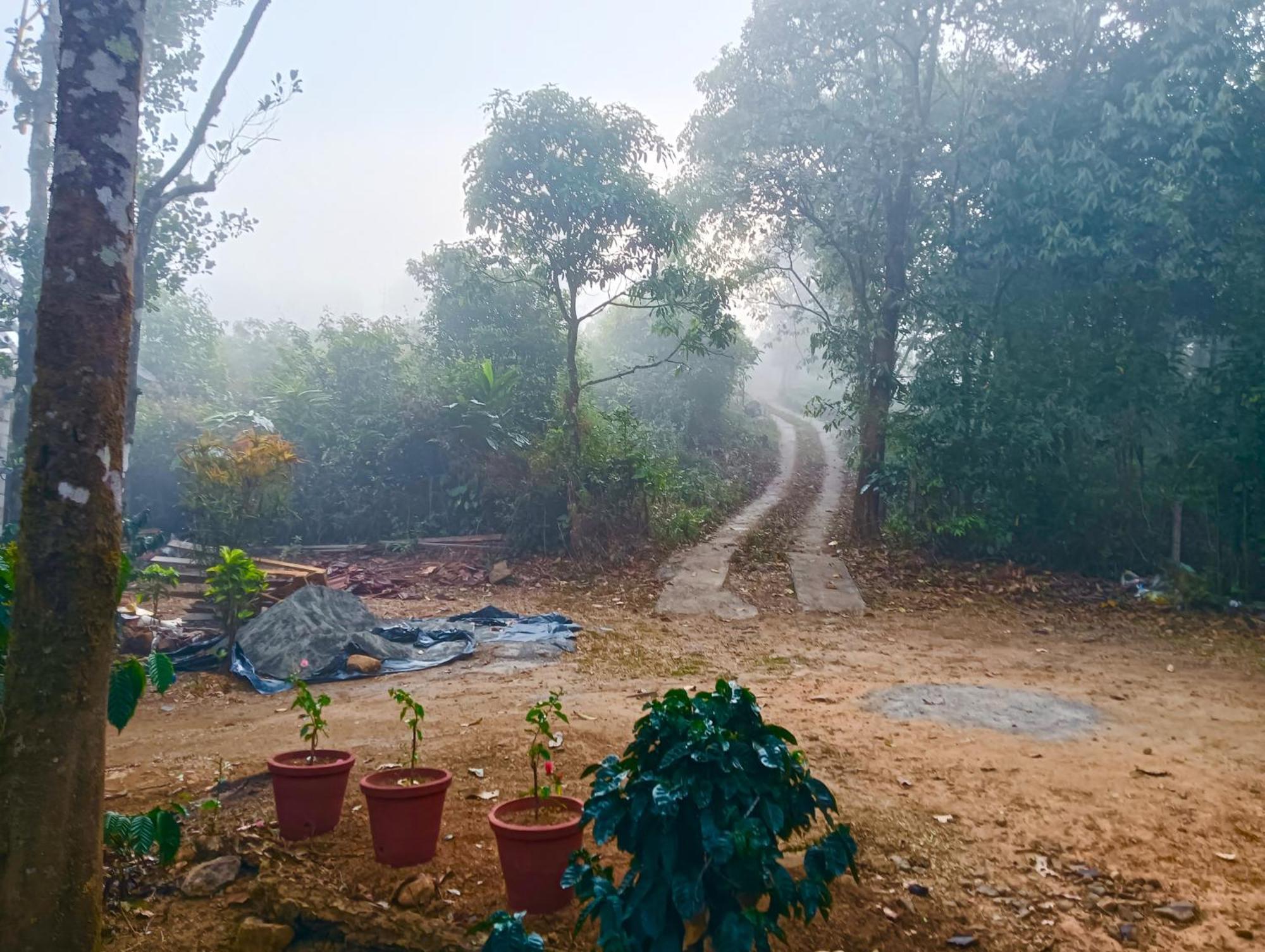 Tharayil Farm Stay Vagamon Bagian luar foto