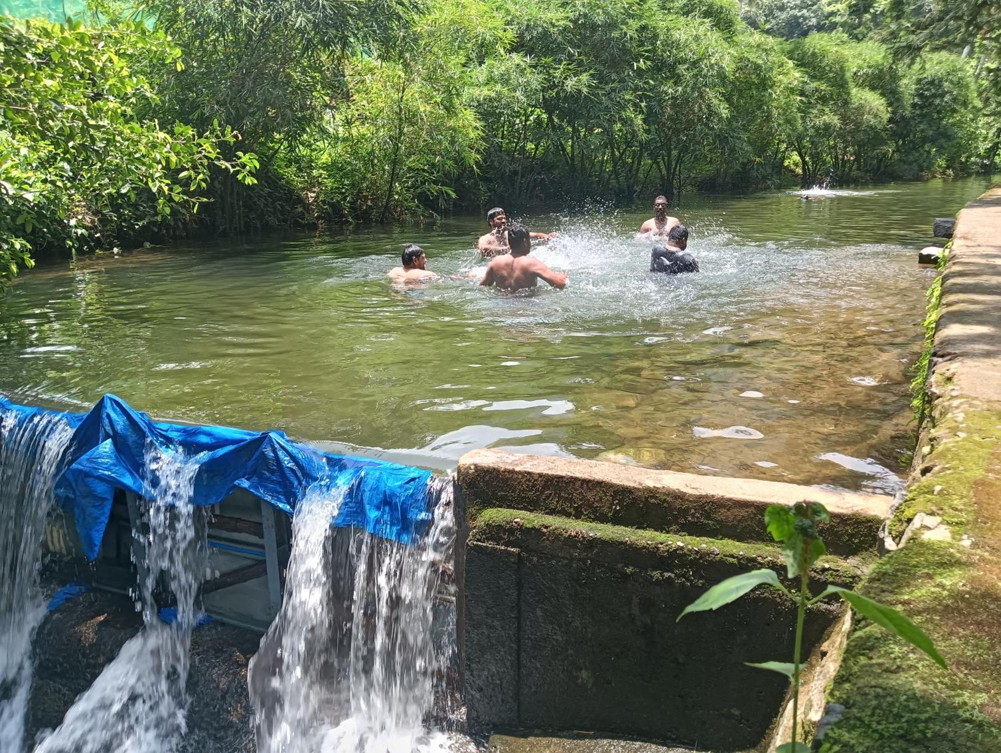 Tharayil Farm Stay Vagamon Bagian luar foto